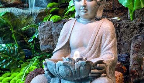 Jardin Zen Bouddha Interieur Des Idées De L'intérieur, Du , De L'ameublement Et