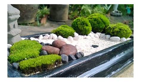 Jardin Zen Japonais Miniature Un En Sucre A Deguster Calmement Candy