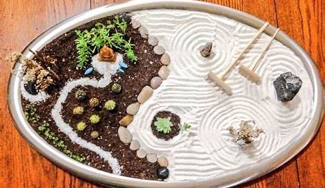Jardin Zen Miniatura Con Cactus Mini es De Buscar Google Mini