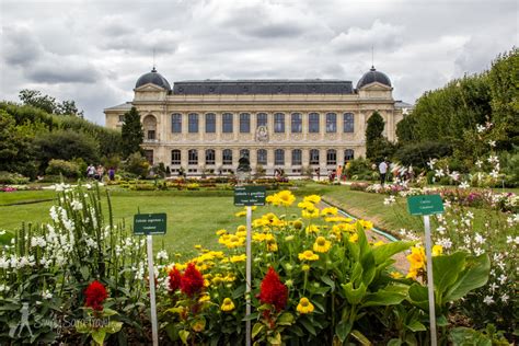 jardin des plantes paris histoire