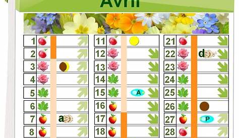 Jours feuilles 2023 🌿 : dates et calendrier lunaire 2023 pour le jardin