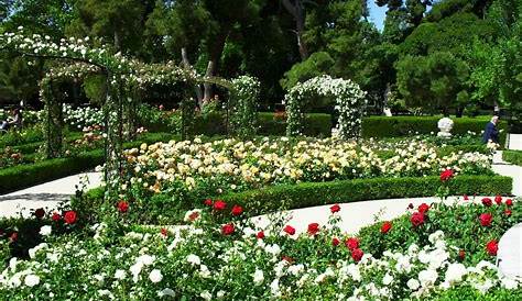 Jardines Modernos Con Flores 30 Maravillosas Fotos E Ideas Para Decorar Un Jardín