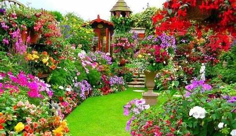 Jardines Pequenos Con Muchas Flores Maceteros De Colores. Pérgola Cubierta