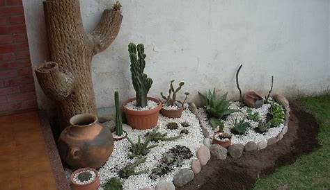 Jardines Con Cactus Piedras Planos Decoracion Modelos