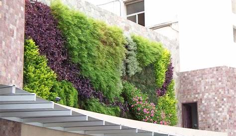 Oasis Decoración y Jardinería Muros Verdes Artificiales