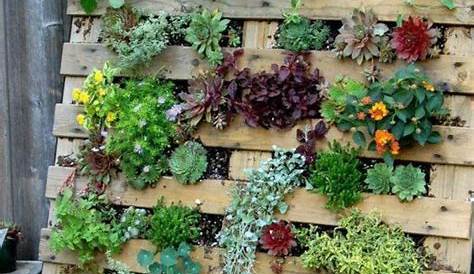Jardines Verticales Caseros Con Palets Cómo Hacer Tu Jardín Vertical En Casa, 10 Ideas Fáciles