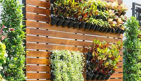 20 originales ideas de jardines verticales caseros