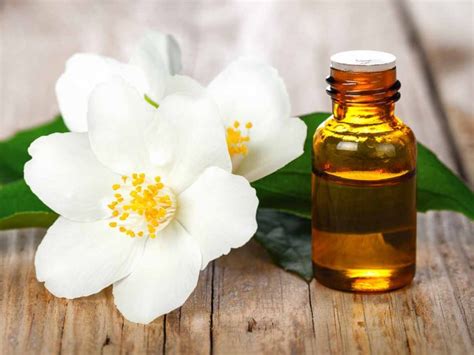 Jasmine Aromatherapy Oil on White Planks with Flowers Stock Photo