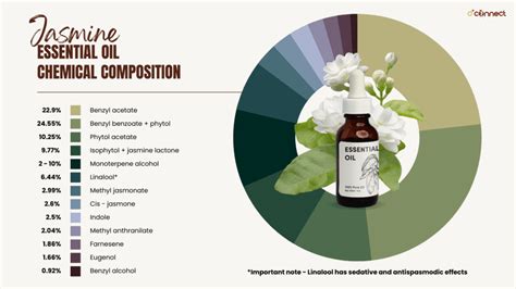 Jasmine Essential Oil Composition