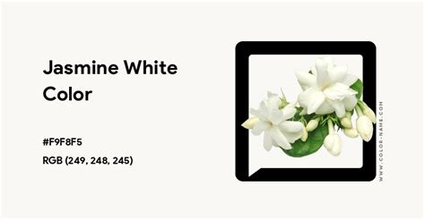 Jasmine White Color Code