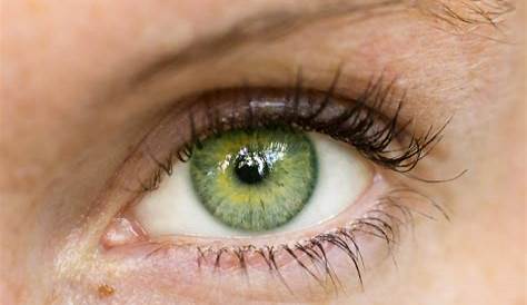 Tutoriel maquillage yeux verts (avec images) Tutoriel