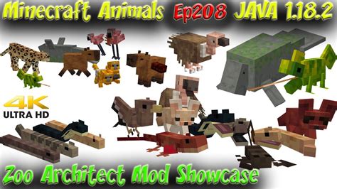 Java Animal Model
