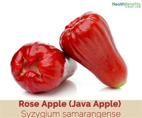 Java Apple Health Benefits