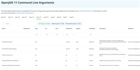 java command line switches