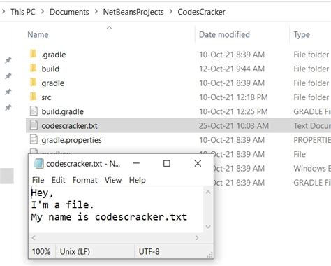 Java Display File Content