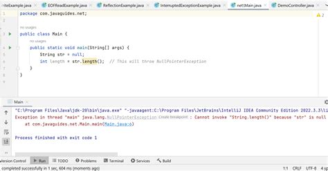 Java Filter Null Pointer Exception