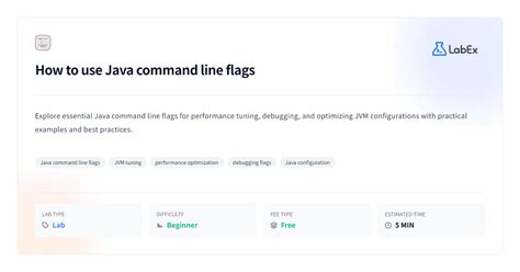 Java Flags Command Line