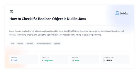 Java Is Null Boolean False