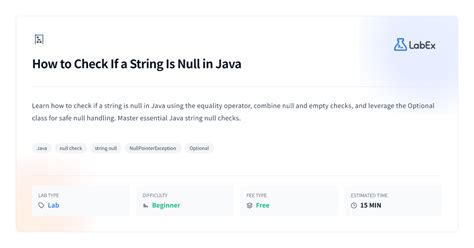 Java Is Null String Check