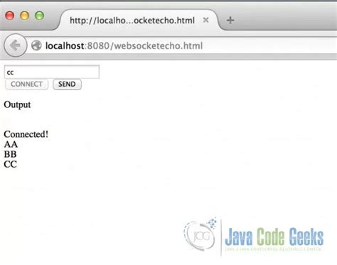 java jetty websocket server example