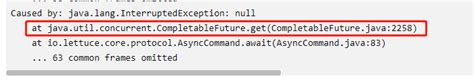 Java Lettuce Command