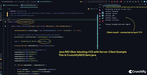 Java Nio Client Server Example