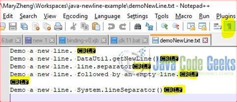 Java Printable Characters And All Newline