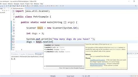 Java Scanner Get Input