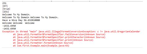 java spring code formatter