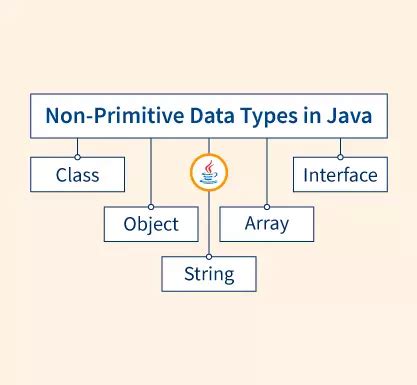 java supports both primitive and non primitive data types