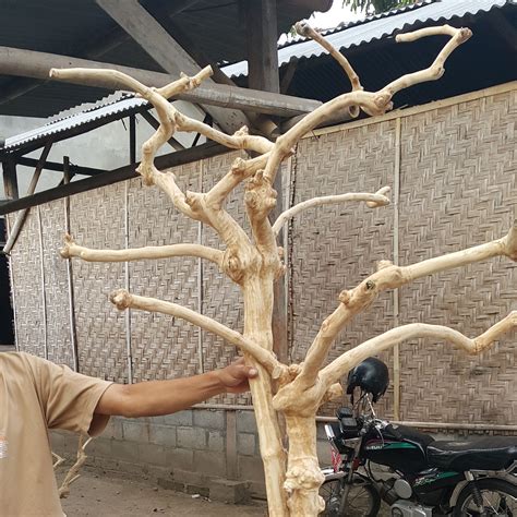 Java Tree Branches For Sale