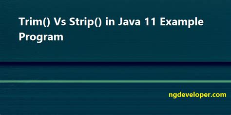 Java Trim And Strip