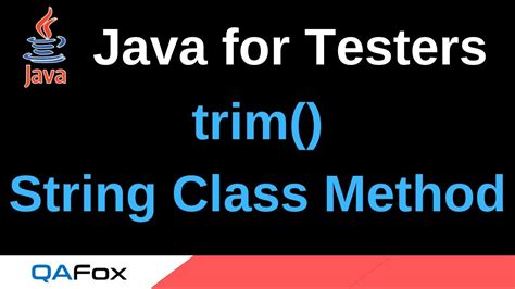 Java Trim On Null