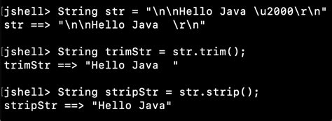 Java Trim Strip