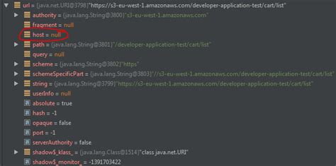 Java.lang.illegalargumentexception Host May Not Be Blank