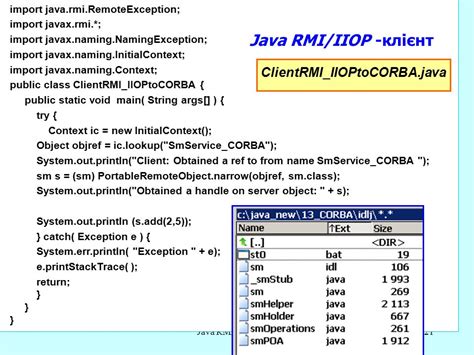 Java.rmi.remoteexception Corba Unknown