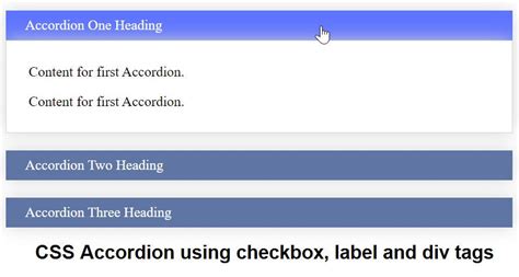 Javascript Accordion Checkbox
