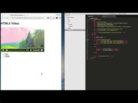 Javascript Control Video