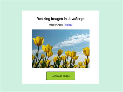Javascript Frame Resize