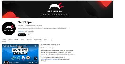 javascript tutorial net ninja