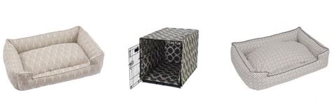 Jax And Bones Free Shipping Code