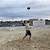 jays beach volleyball