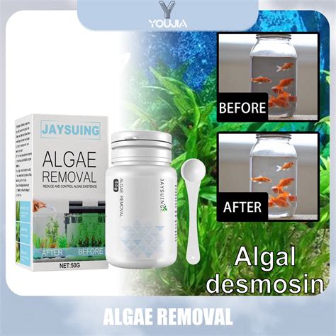 jaysuing algae removal