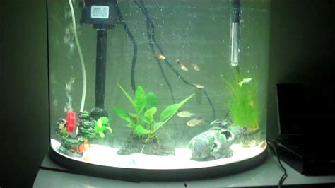 Jebo Fish Tank Filter Setup