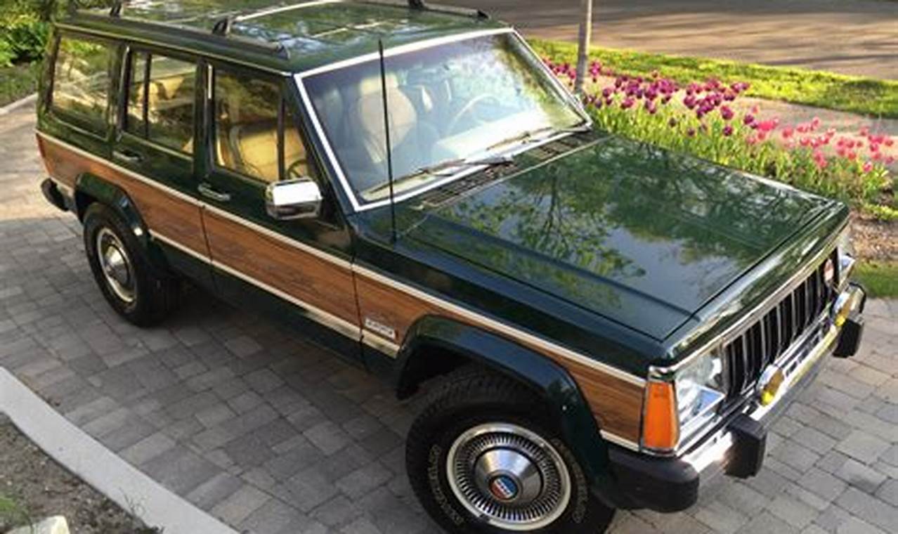 jeep briarwood for sale