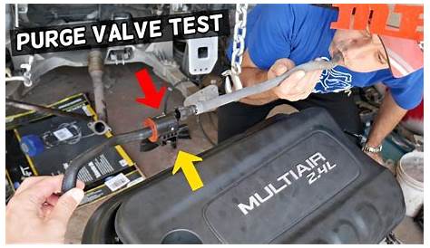I want the location of the evap fuel solenoid purge valve
