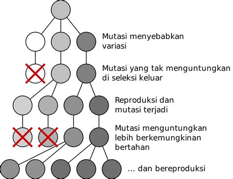 Jelaskan Kaitan Antara Evolusi dan Mutasi