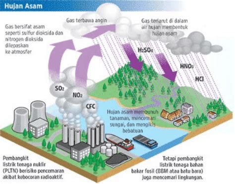 Jelaskan Proses Terjadinya Hujan Asam: Memahami Dampak dari Pencemaran Udara