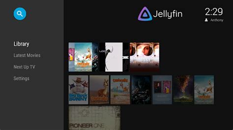 Jellyfin Android Tv Server Address