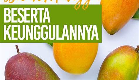 10+ Ragam Jenis Mangga Lokal dan Manca Negara - Gramedia